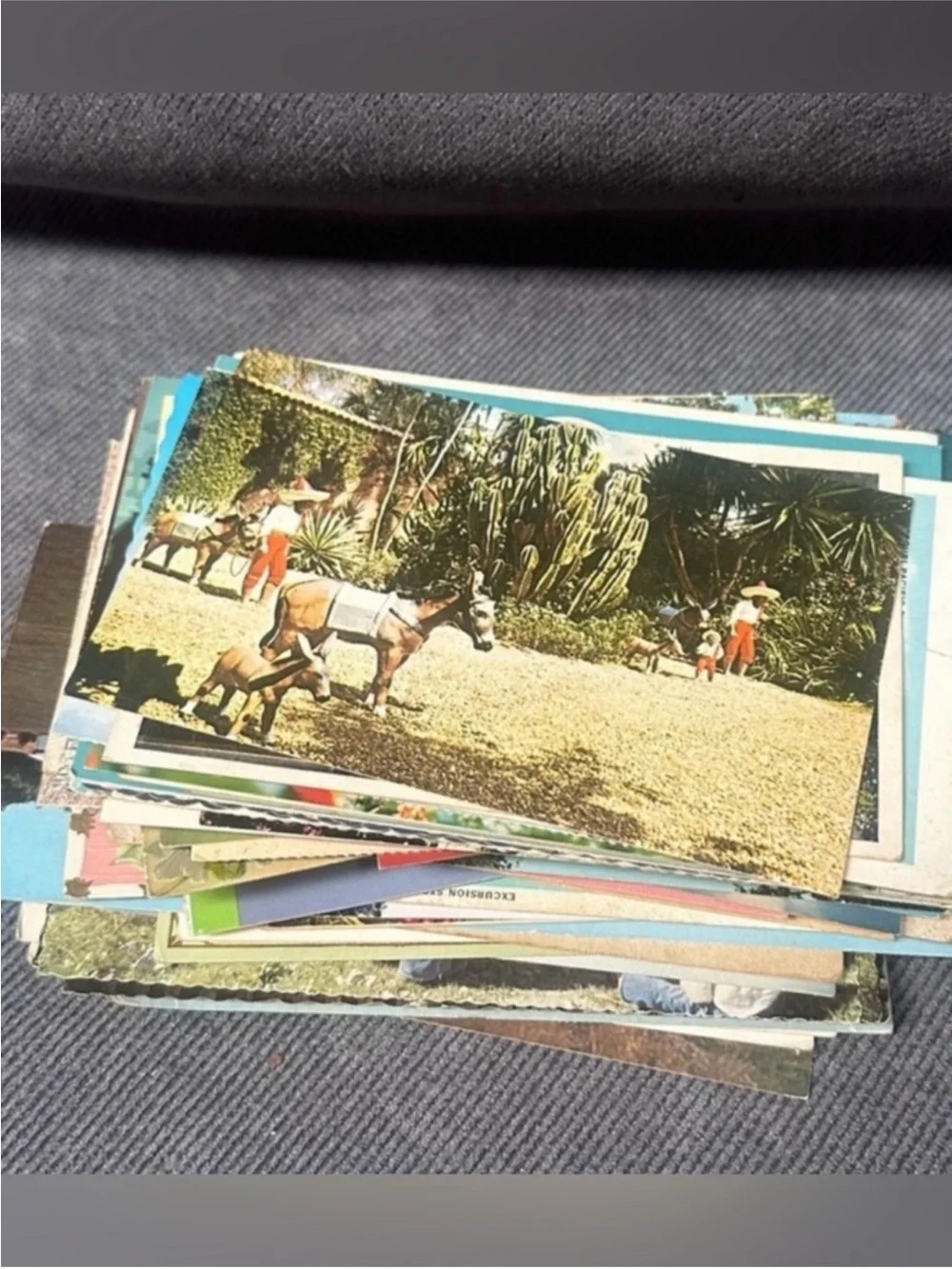 107 vintage postcard lot euphemia